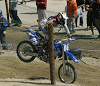 DSC_0307_thumb.png