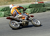 DSC_0106_thumb.png